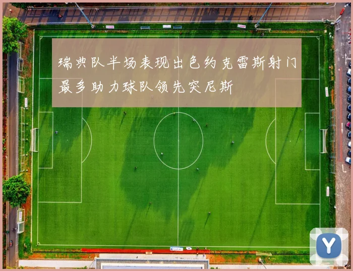 瑞典队半场表现出色约克雷斯射门最多助力球队领先突尼斯